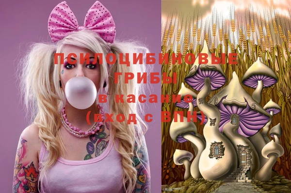 не бодяженный Алексин