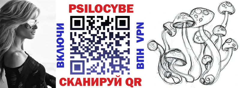 omg онион Кемь Псилоцибиновые грибы Cubensis